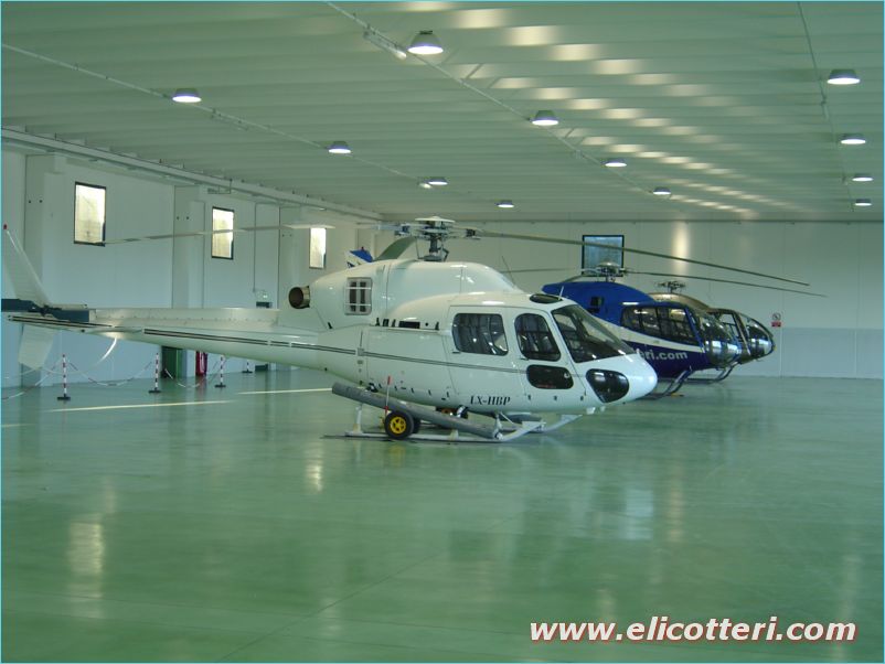elifoto (73)